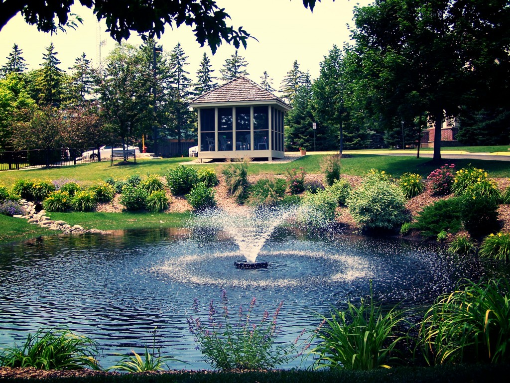 Pond Landscaping Pictures 51