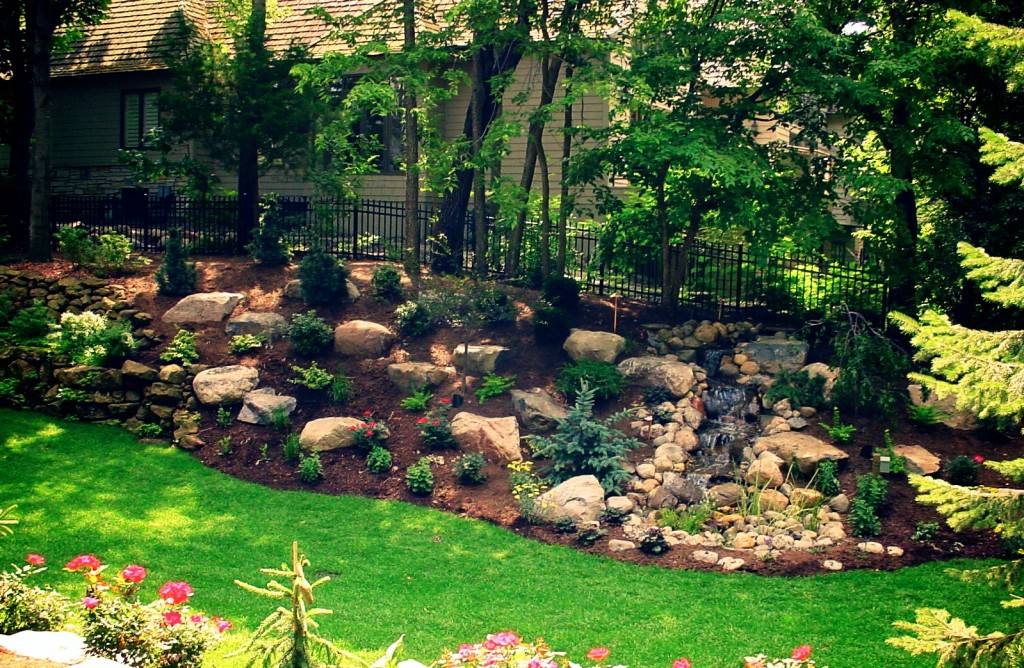 Late Summer Yard Care