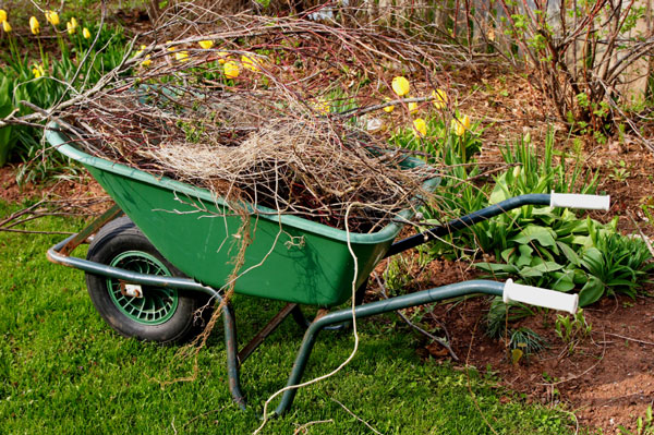 Edible landscaping