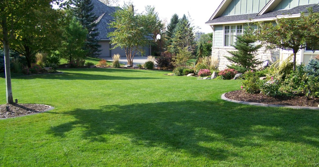 summer lawn care