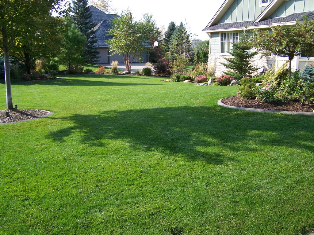 Spring Lawn Tips