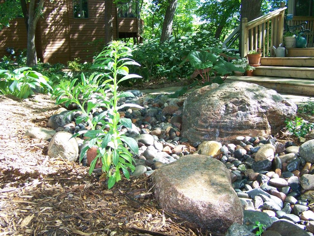 drainage-creek-bed-stream-eden-prairie-mn