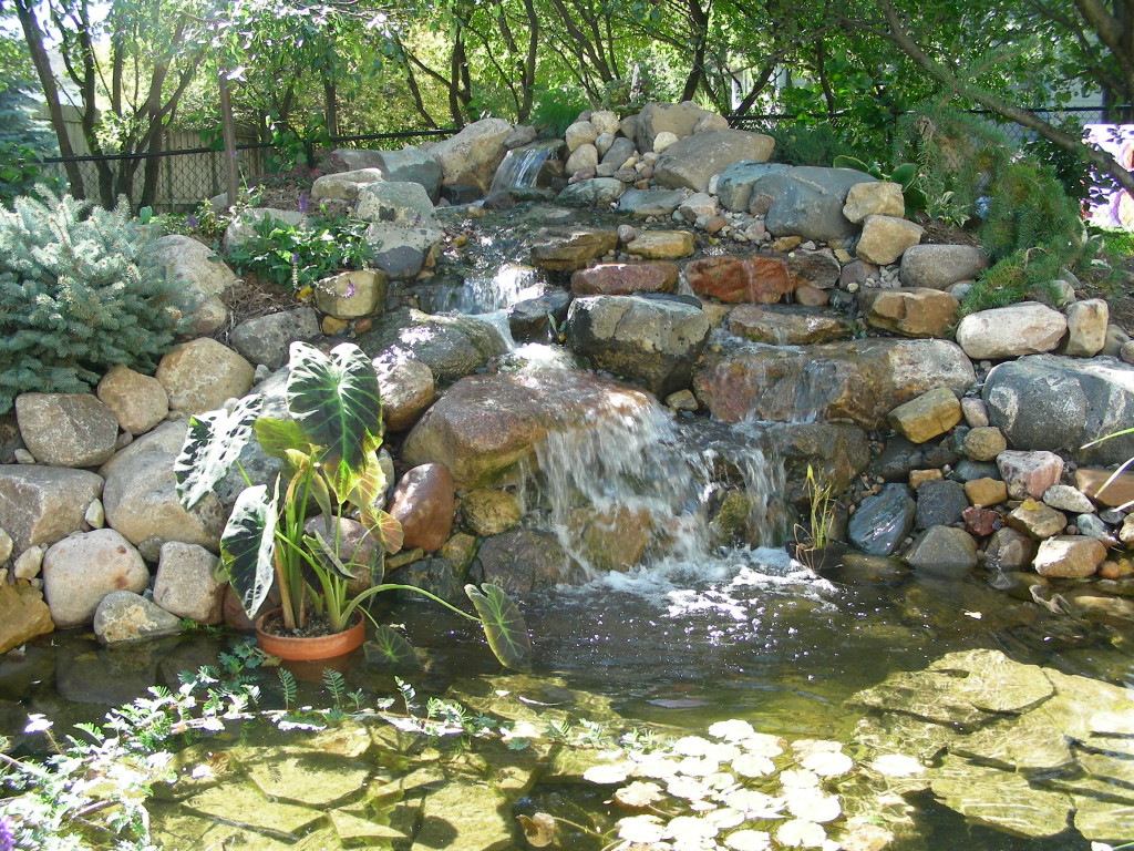 pond-waterfall-water-feature-koi-burnsville-mn