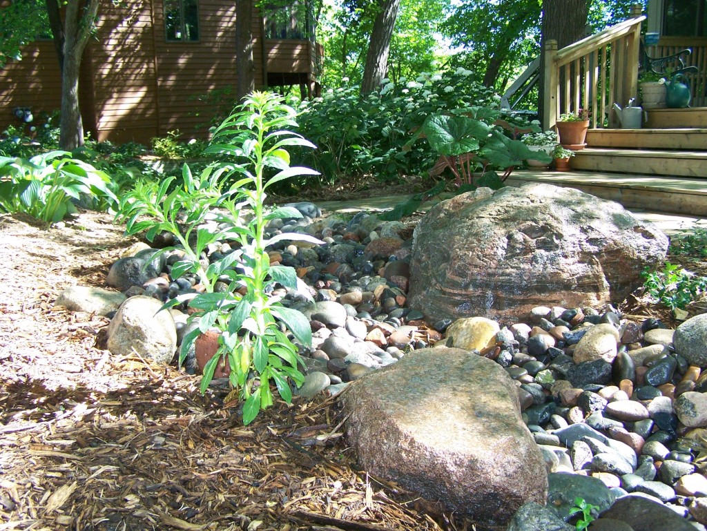 drainage-creek-bed-stream-eden-prairie-mn