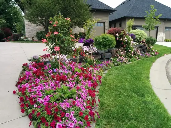 Vibrant front-yard flower bed of petunias and annuals with stone accents along a curved driveway