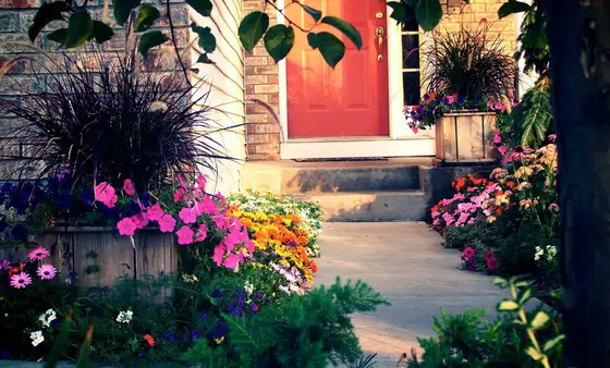 Colorful petunia and annual flower beds lining a front-entry walkway to a red door